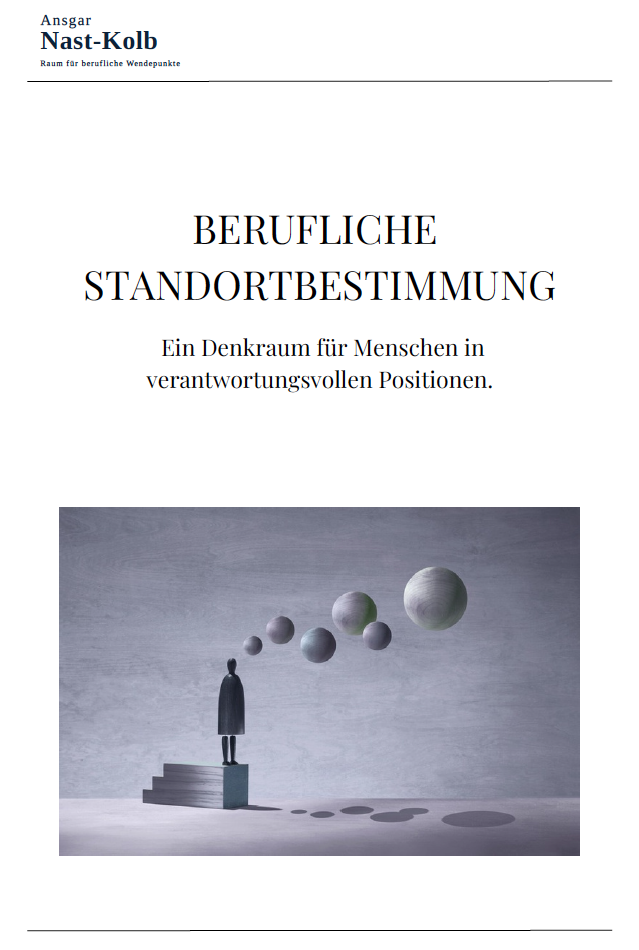 Berufliche Standortbestimmung als PDF